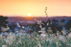 Day 14 – Start each day like it matters (because it does) 🎯 post feature image